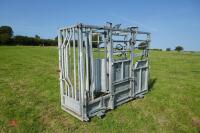 IAE GALVANISED CATTLE WEIGH CRUSH