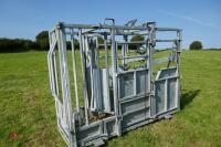 IAE GALVANISED CATTLE WEIGH CRUSH - 2