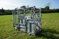 IAE GALVANISED CATTLE WEIGH CRUSH - 3