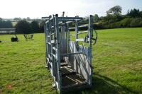 IAE GALVANISED CATTLE WEIGH CRUSH - 4