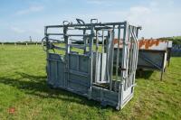 IAE GALVANISED CATTLE WEIGH CRUSH - 7