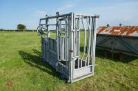 IAE GALVANISED CATTLE WEIGH CRUSH - 8