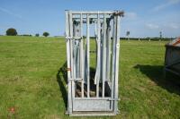 IAE GALVANISED CATTLE WEIGH CRUSH - 9