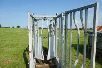 IAE GALVANISED CATTLE WEIGH CRUSH - 11