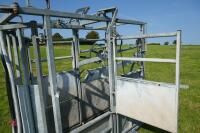 IAE GALVANISED CATTLE WEIGH CRUSH - 12