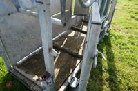 IAE GALVANISED CATTLE WEIGH CRUSH - 14