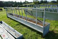 15' CATTLE FEED BARRIER AND TROUGH - 8