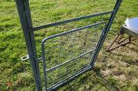 GALVANISED SHEEP GUILLOTINE GATE (59) - 4