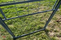 GALVANISED SHEEP GUILLOTINE GATE (59) - 5