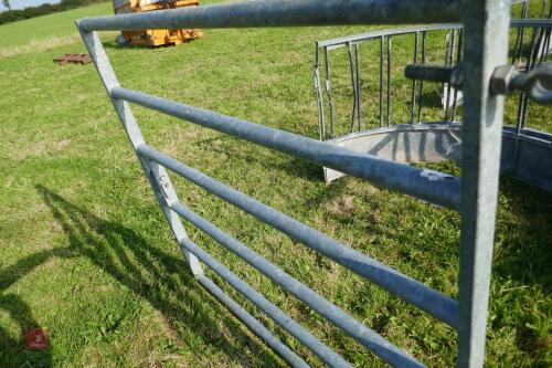 GALVANISED INTERNAL CATTLE GATE (63)