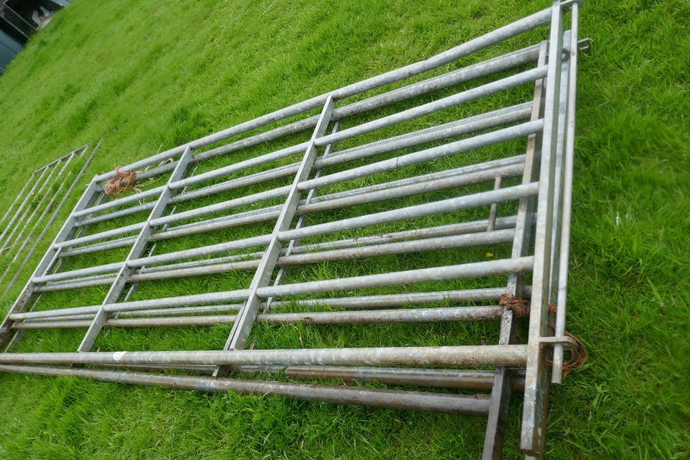 3 IAE 10' GALVANISED CATTLE HURDLES