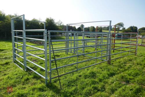 PAIR OF CALVING PENS C/W A HEAD YOKE