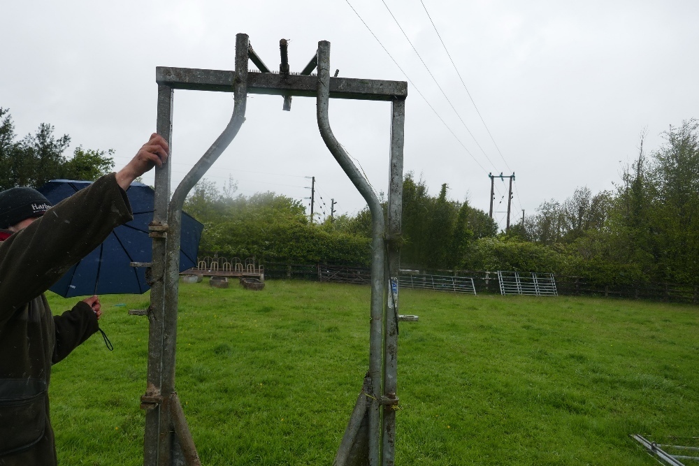 IAE GALV CATTLE RACE NO RETURN GATE