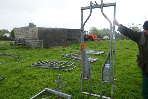 IAE GALV CATTLE RACE NON RETURN GATE