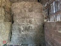 70 SQUARE BALES OF HAY (BIDS PER BALE)