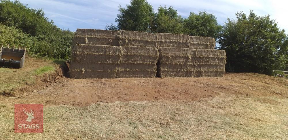 30 BALES OF 2024 HAY (BIDS PER BALE)