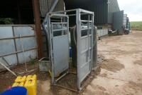 PEARSON CATTLE CRUSH ACCESS KIOSK - 2