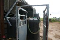 PEARSON CATTLE CRUSH ACCESS KIOSK - 3