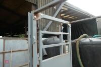 PEARSON CATTLE CRUSH ACCESS KIOSK - 7