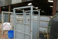 PEARSON CATTLE CRUSH ACCESS KIOSK - 12