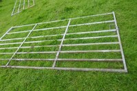 IAE 10' GALVANISED CATTLE & SHEEP GATE - 4