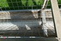 IAE MOBILE SHEEP HAY RACK - 11