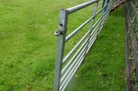 IAE 15' GALVANISED YARD GATE - 4