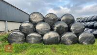 134 BALES OF FIRST CUT SILAGE (BIDS PER BALE) *NO BUYERS PREMIUM* - 2