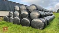 134 BALES OF FIRST CUT SILAGE (BIDS PER BALE) *NO BUYERS PREMIUM* - 3