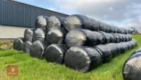 134 BALES OF FIRST CUT SILAGE (BIDS PER BALE) *NO BUYERS PREMIUM* - 4