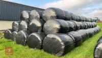 134 BALES OF FIRST CUT SILAGE (BIDS PER BALE) *NO BUYERS PREMIUM* - 6