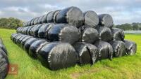 146 BALES OF 2ND CUT SILAGE (BIDS PER BALE) - *NO BUYERS PREMIUM*