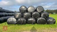 146 BALES OF 2ND CUT SILAGE (BIDS PER BALE) - *NO BUYERS PREMIUM* - 2