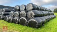 146 BALES OF 2ND CUT SILAGE (BIDS PER BALE) - *NO BUYERS PREMIUM* - 3