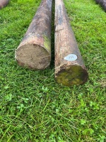 2 X 29' 5'' TELEGRAPH POLES - 2