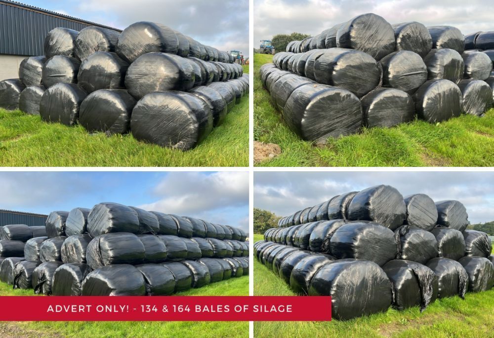 ADVERT ONLY - 134 BALES OF 1ST CUT SILAGE & 146 BALES OF 2ND CUT SILAGE