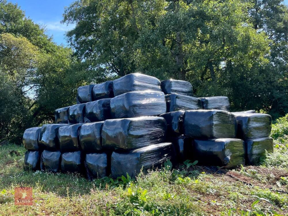 31 BALES OF HAYLAGE (BIDS PER BALE)