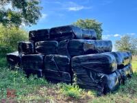 31 BALES OF HAYLAGE (BIDS PER BALE) - 2