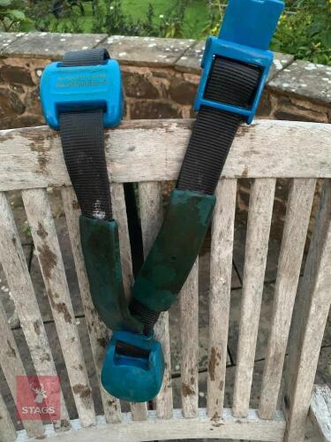 100 DAIRY MASTER MOO MONITORS+