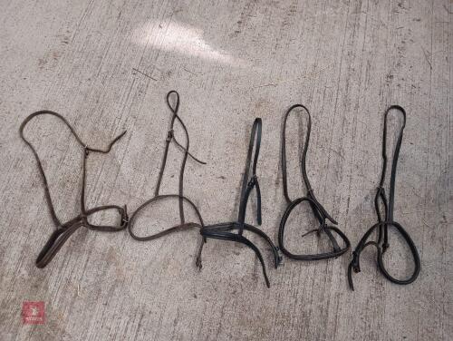 5 CAVESSON NOSEBANDS