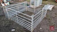 9X 6FT GALVANISED SHEEP HURDLES - 3