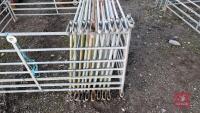 14X 6FT GALVANISED SHEEP HURDLES - 3