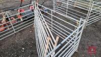 6X 6FT GALVANISED SHEEP HURDLES - 4