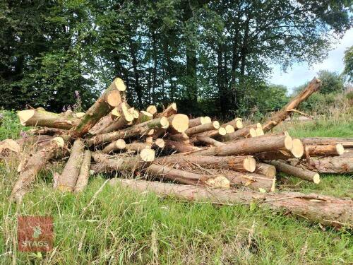 SOFT WOOD TIMBER