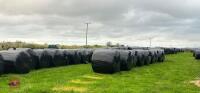 50 BALES OF 2024 HAY (BIDS PER BALE)