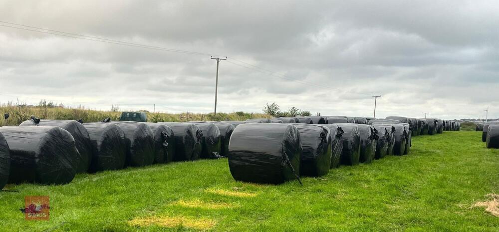 50 BALES OF 2024 HAY (BIDS PER BALE)