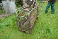 LAMB WEIGHER (AS SEEN) - 4