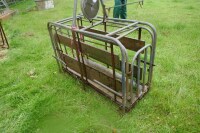 LAMB WEIGHER (AS SEEN) - 5