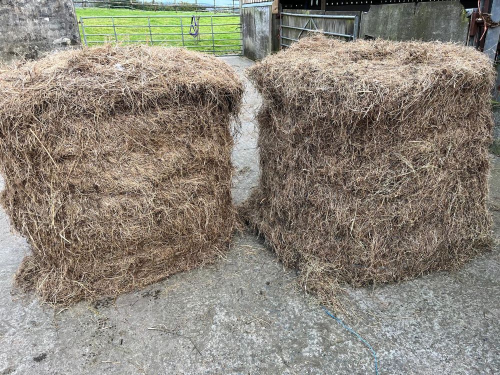 25 ROUND BALES OF HAY (BIDS PER BALE)