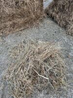 25 ROUND BALES OF HAY (BIDS PER BALE) - 2